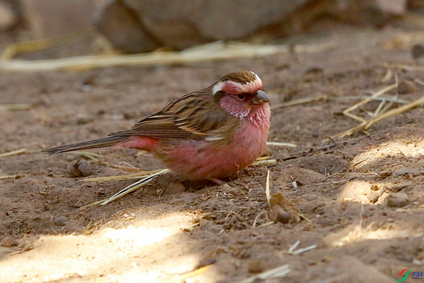 �л���ü��ȸ