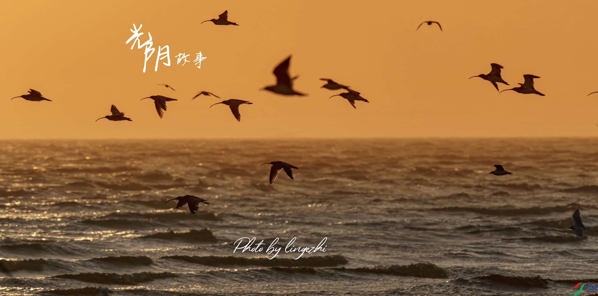 Ӫ������