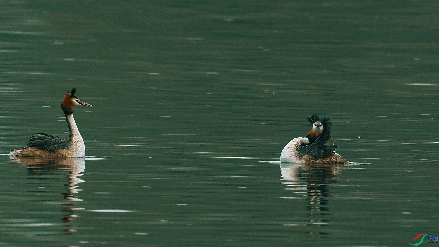 ���� 01.00_00_49_29.Still005.jpg