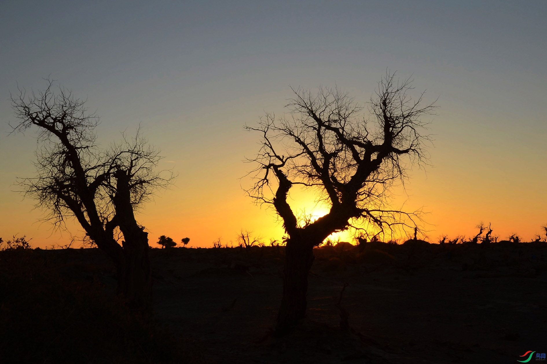 ��Ҵ.��ü{ 562.jpg