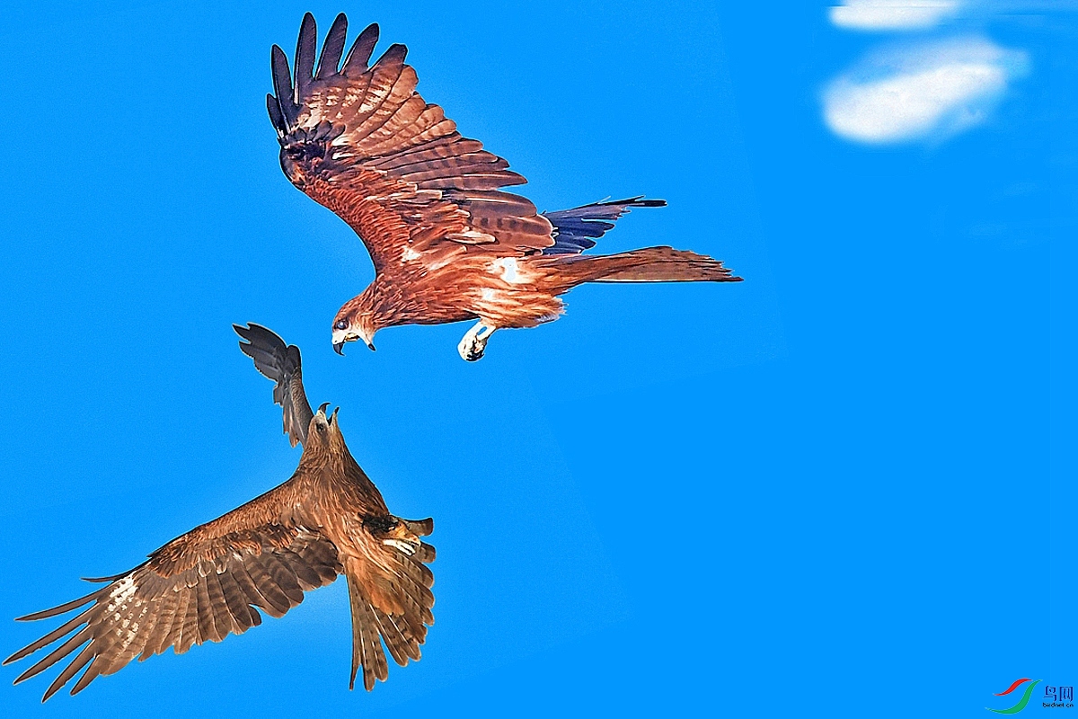 DSC_3792.jpg