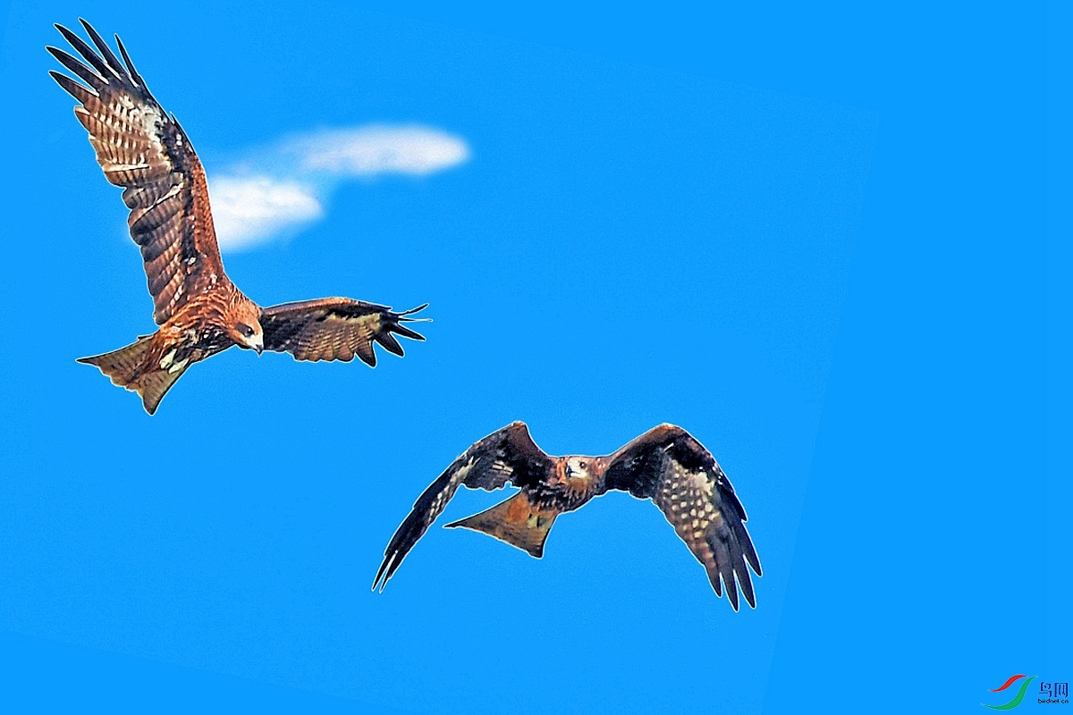 DSC_3794--.jpg