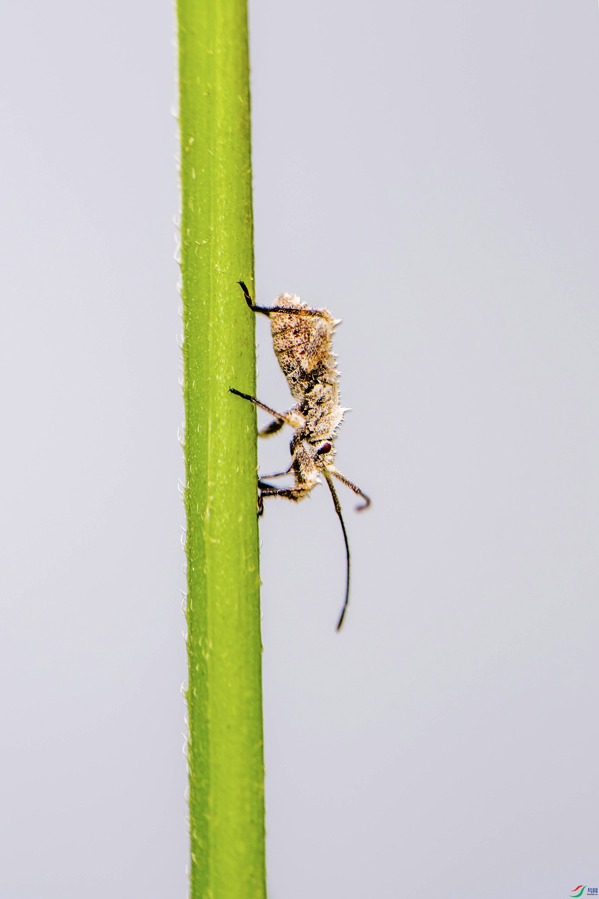 DSC_3356.jpg