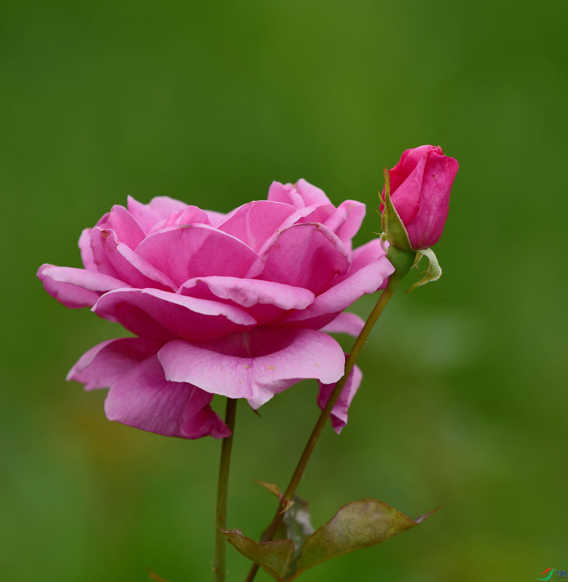 D8I_7593.jpg