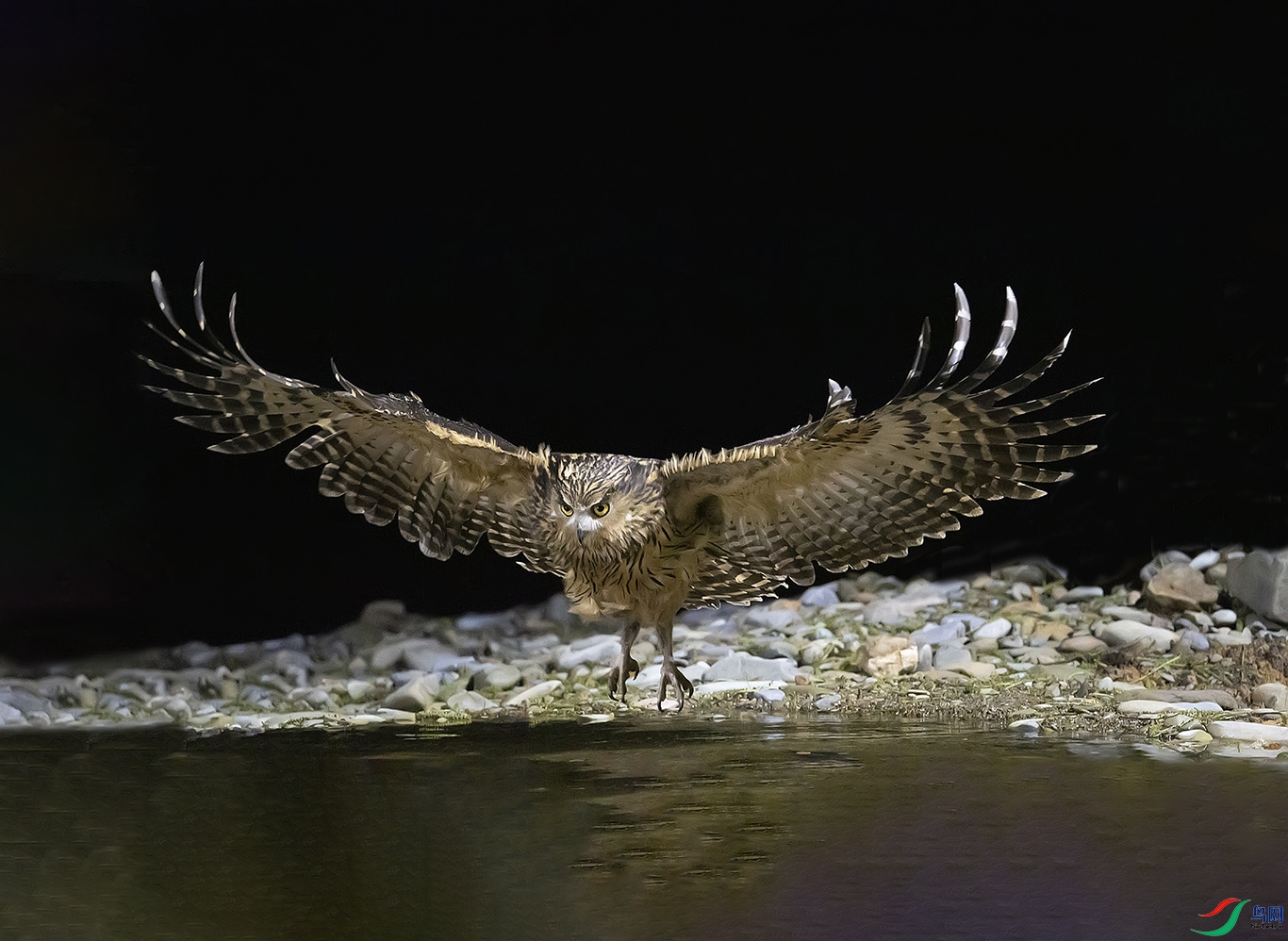 DSC_7912.jpg