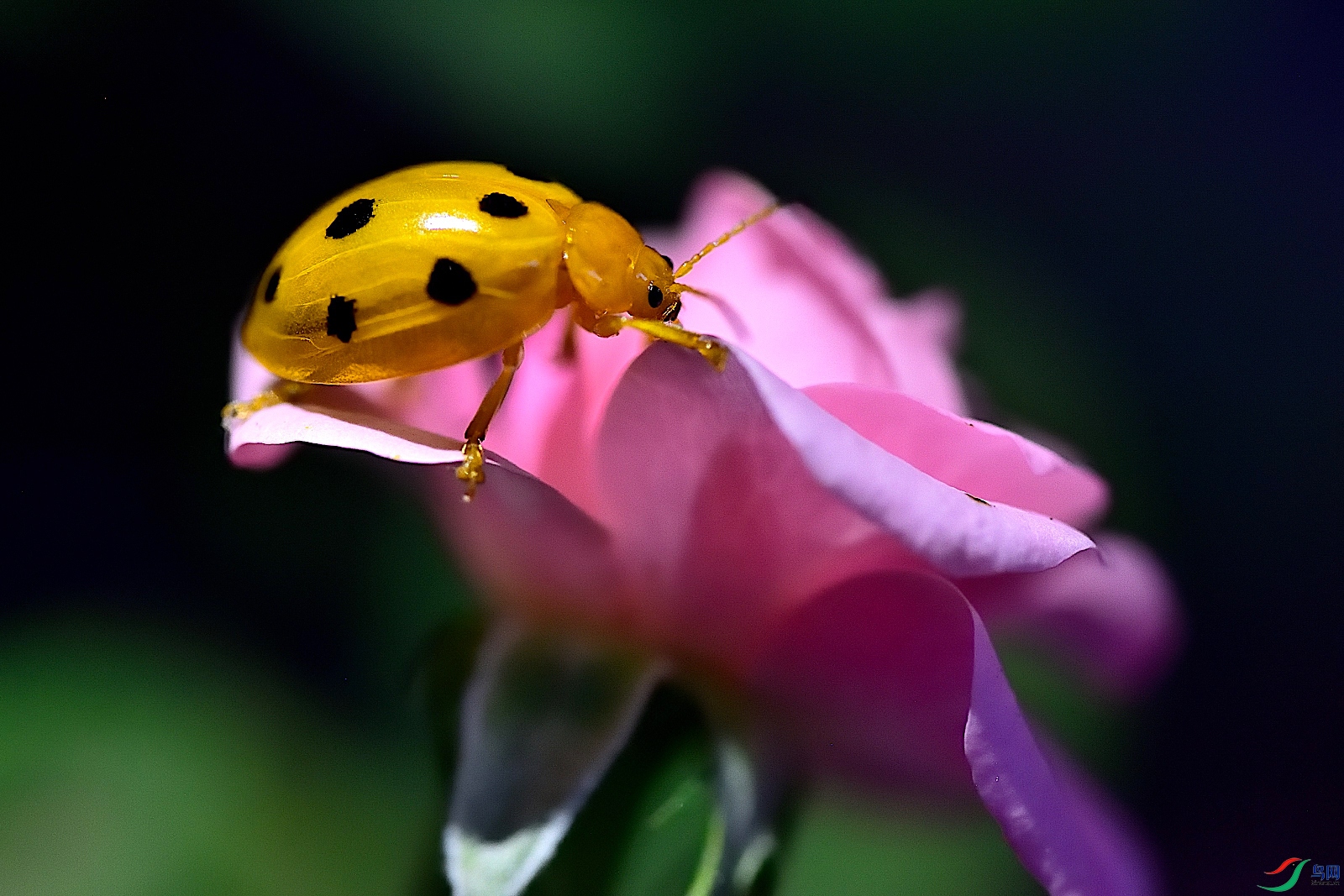 DSC_2298_00002_01.jpg