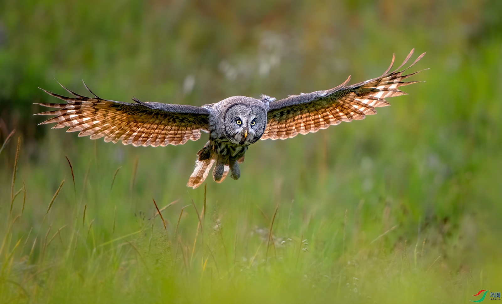 DSC_4950-2.jpg