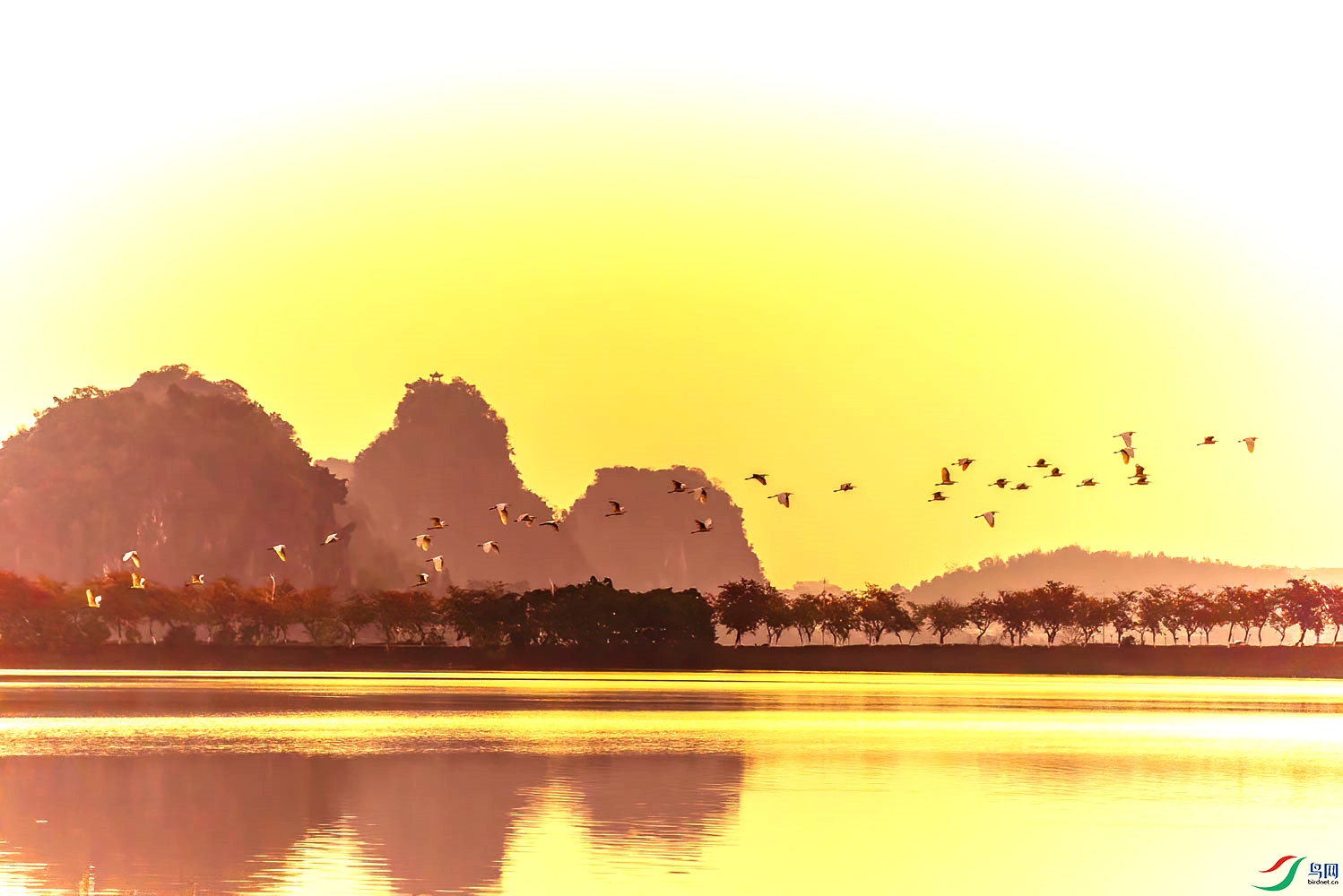 _DSC7121-2x (1)_����.jpg