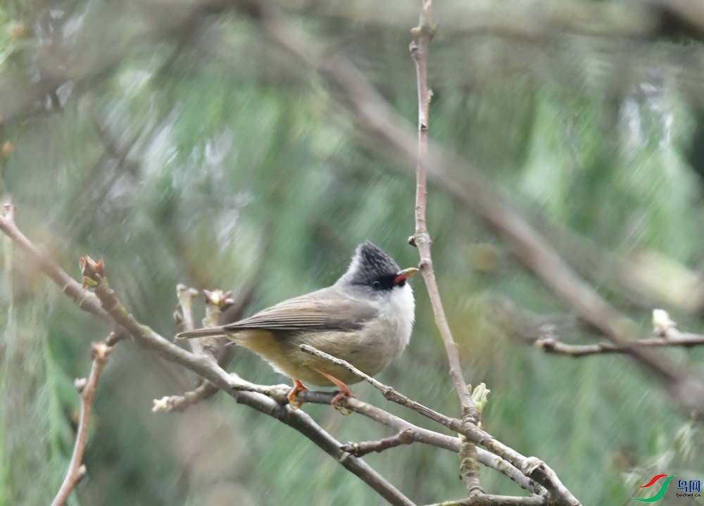 DSC_3460.JPG