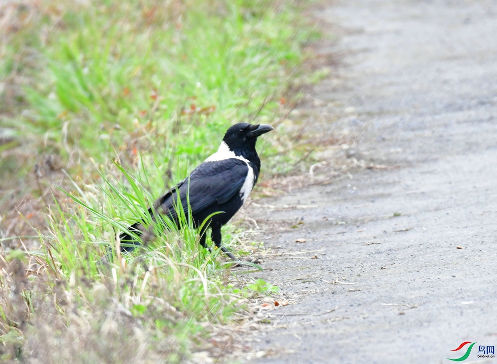 DSC_3587.JPG