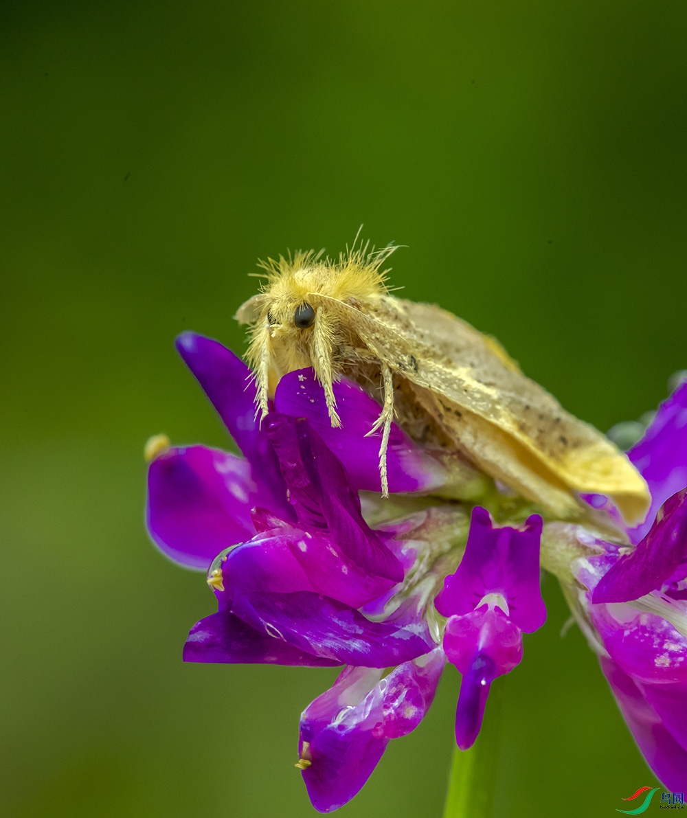 DSC_3539a3.jpg