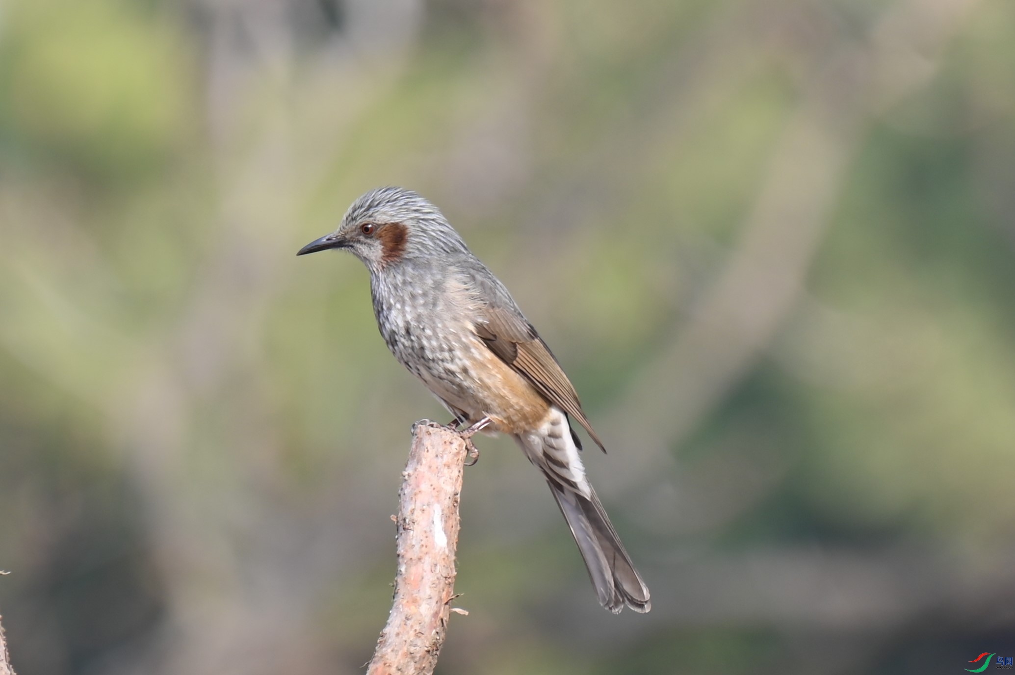 DSC_6792.JPG