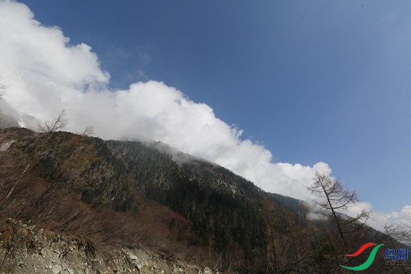 MX1A3794.JPG