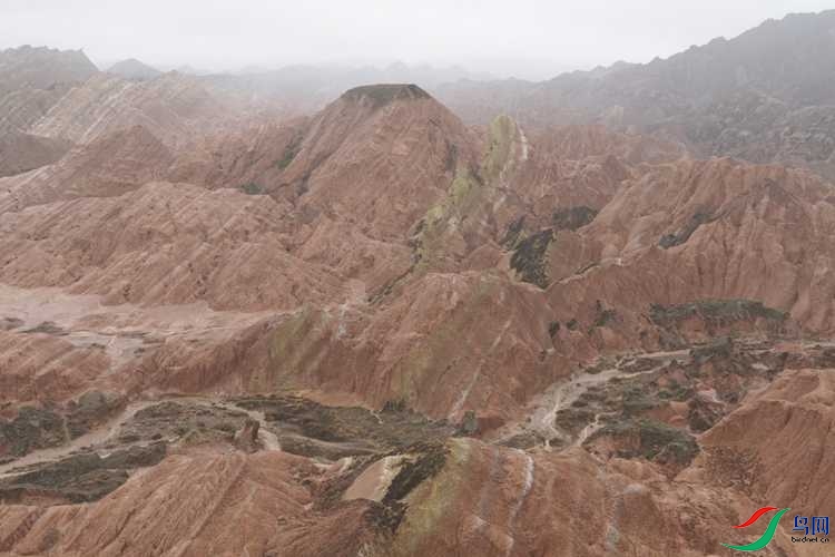 0S2A2727.JPG