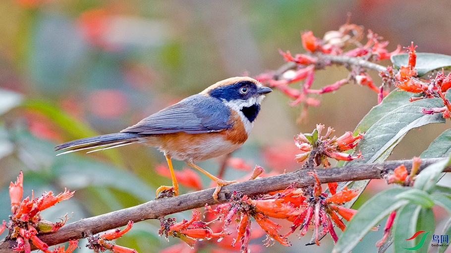 ��DSC_2678.jpg