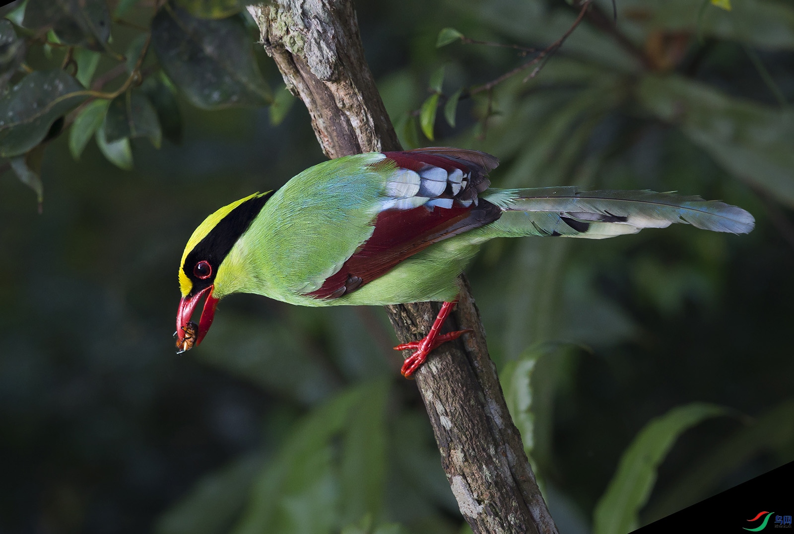 DSC_0951.jpg