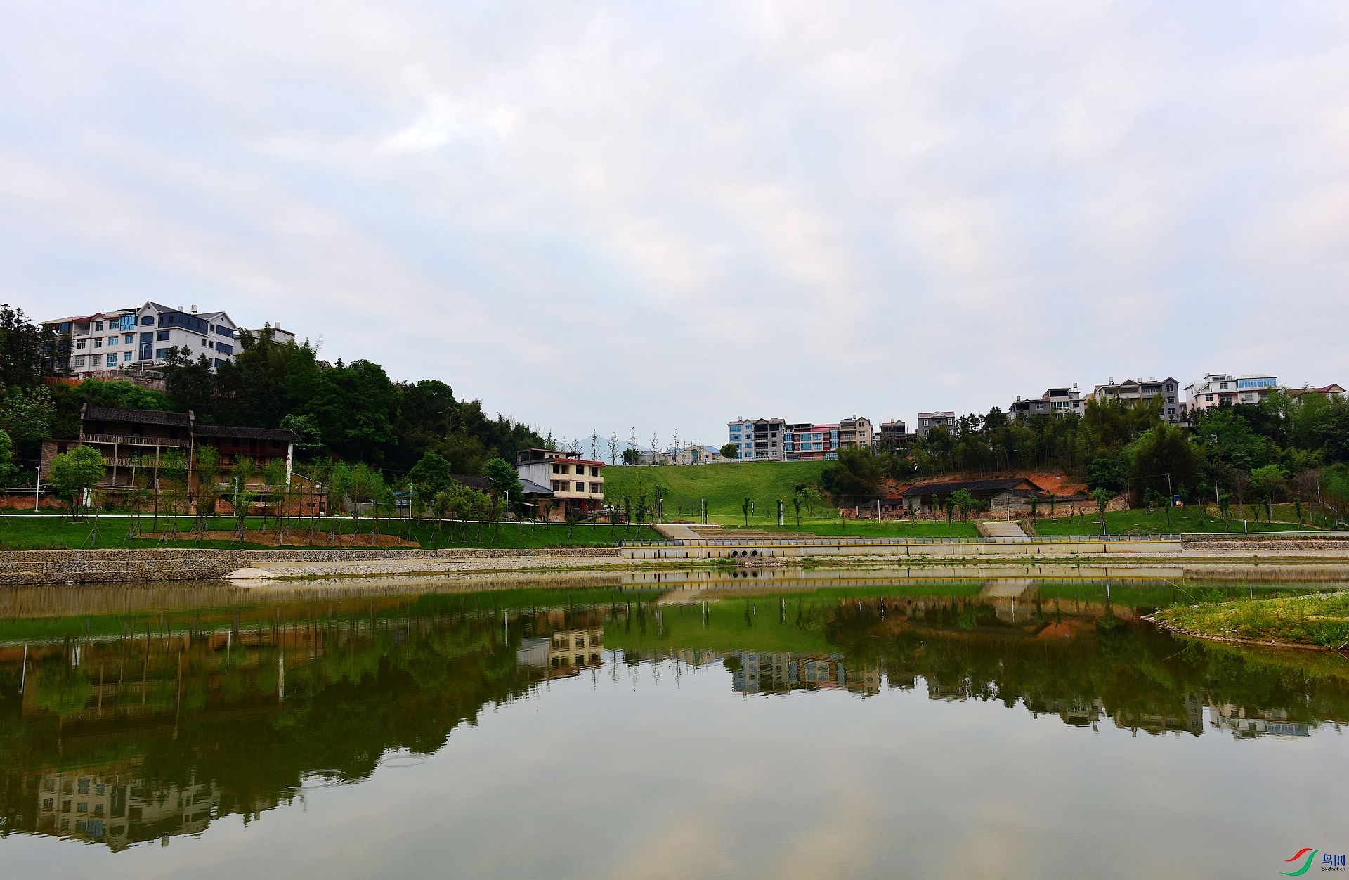 D8I_9377.jpg