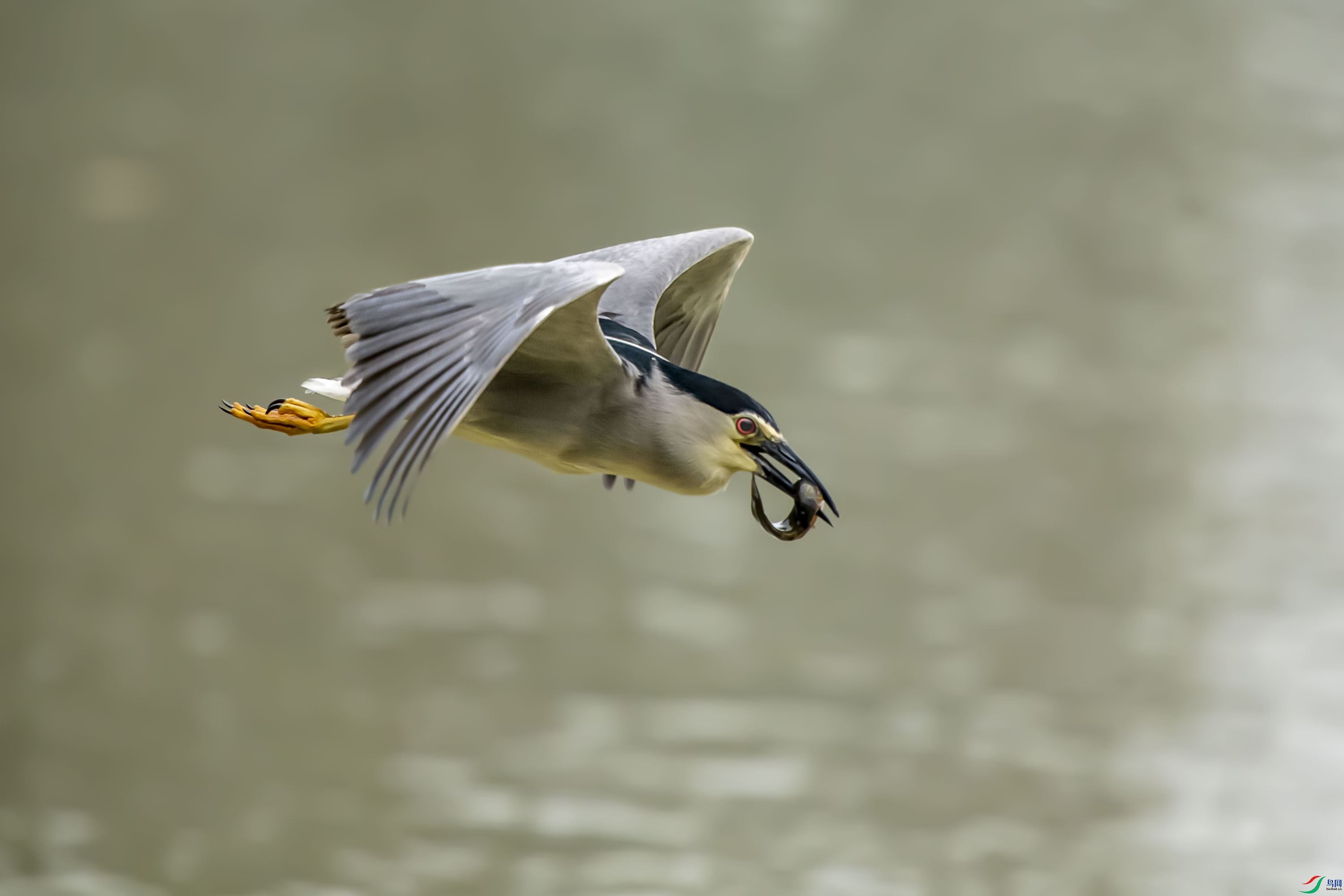 DSC_5386.jpg