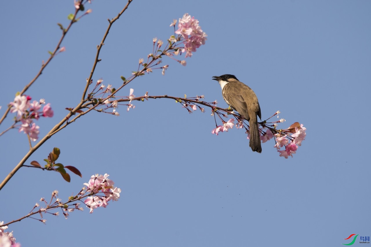 _DSC8090a.jpg