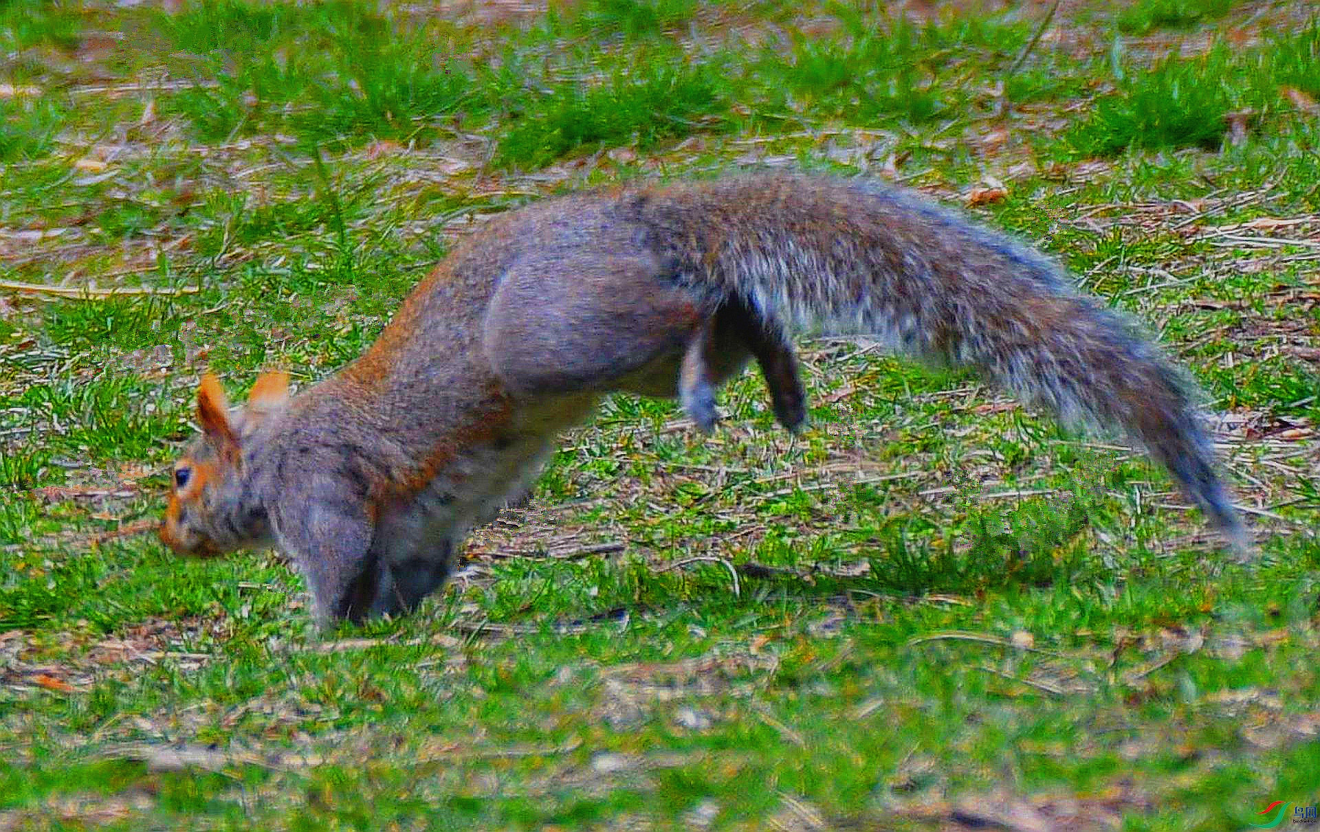 DSC_5920_����.jpg