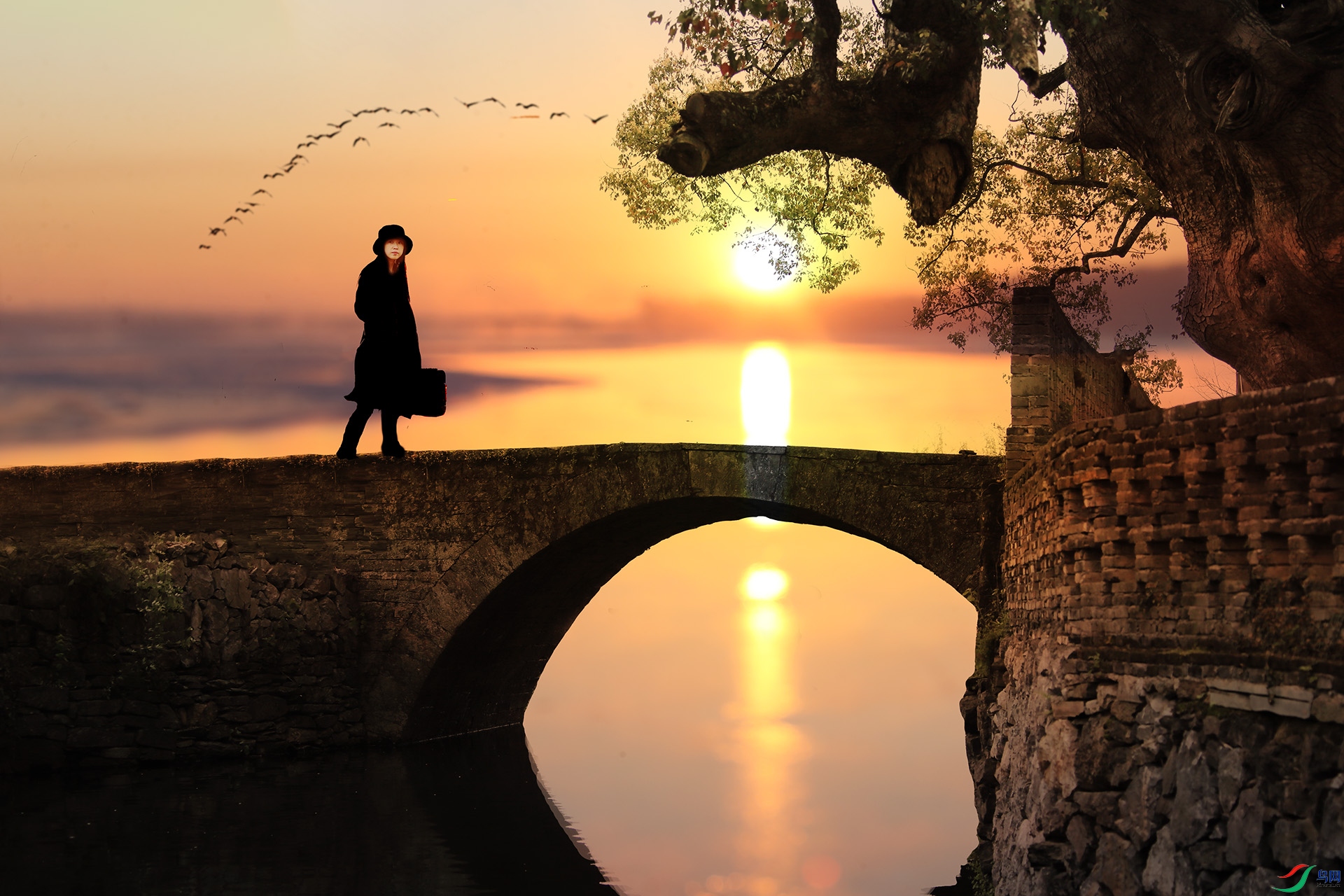 野旷天低 日暮归途