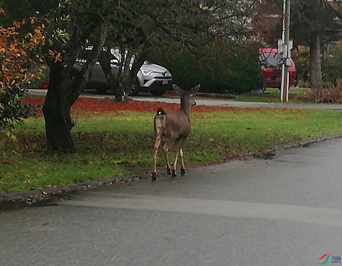 WeChat Image_20201226190701_����.jpg