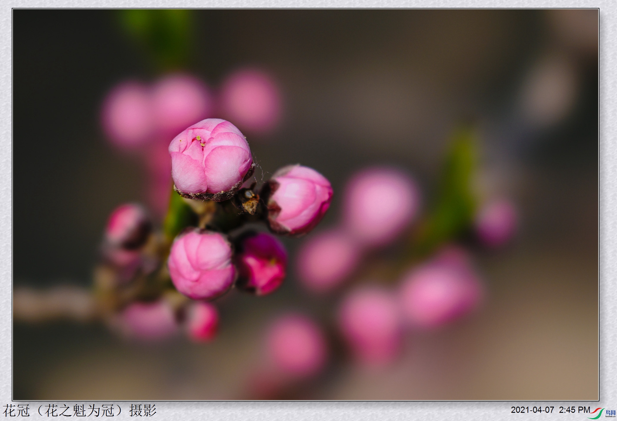 DSC04638B-1_����.jpg