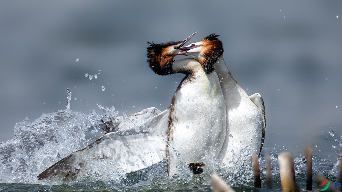 518A3349����2-2.jpg