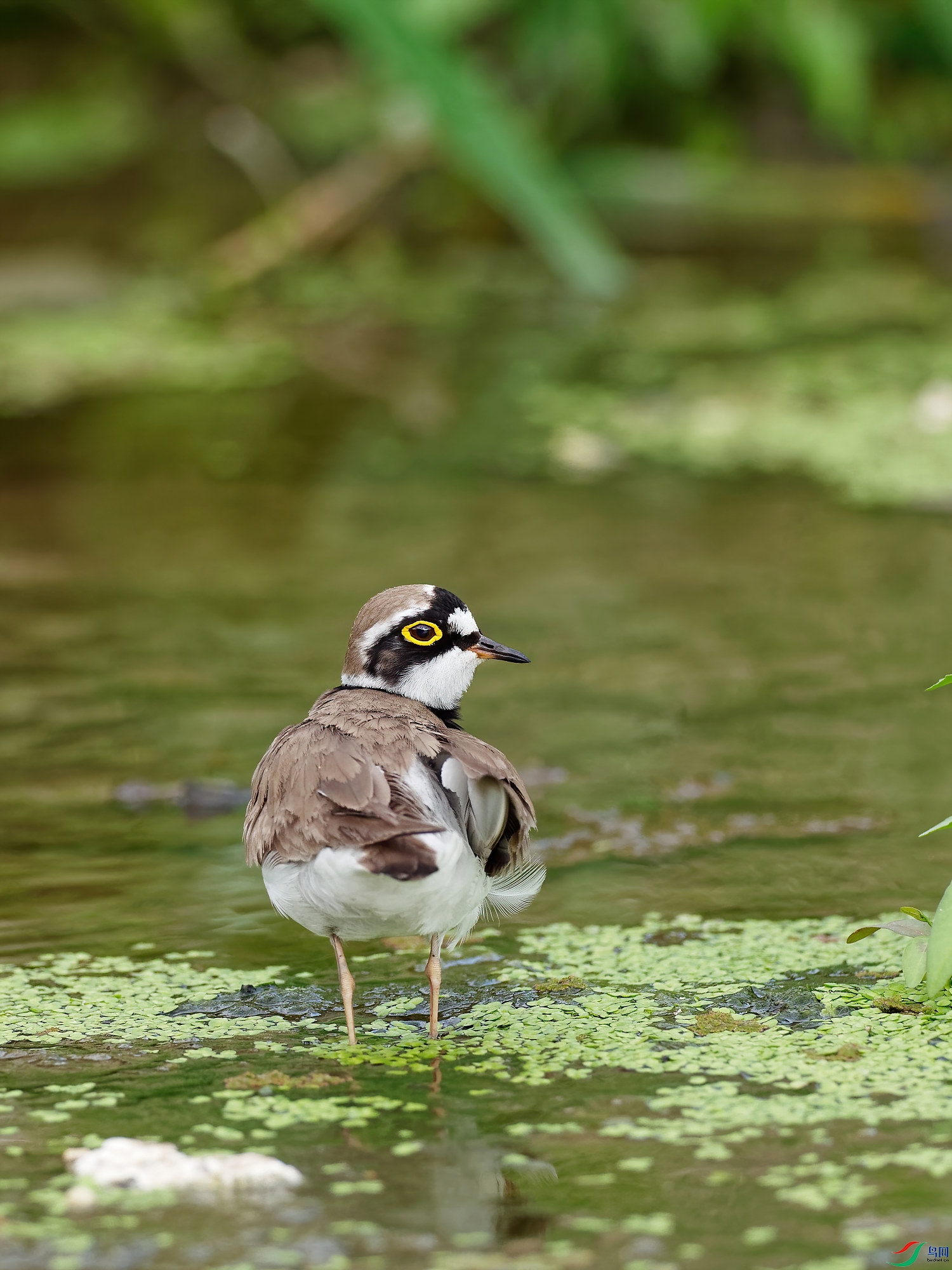 P1083824_DxO-d2.jpg