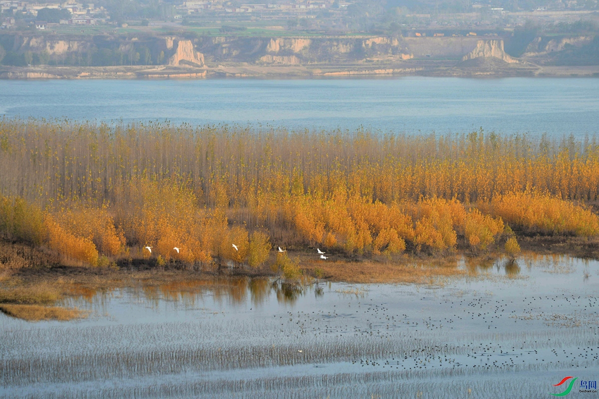DSC_9938_����.jpg