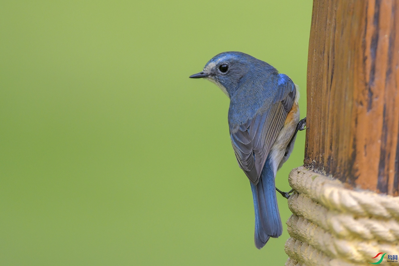DSC_1379-2.jpg