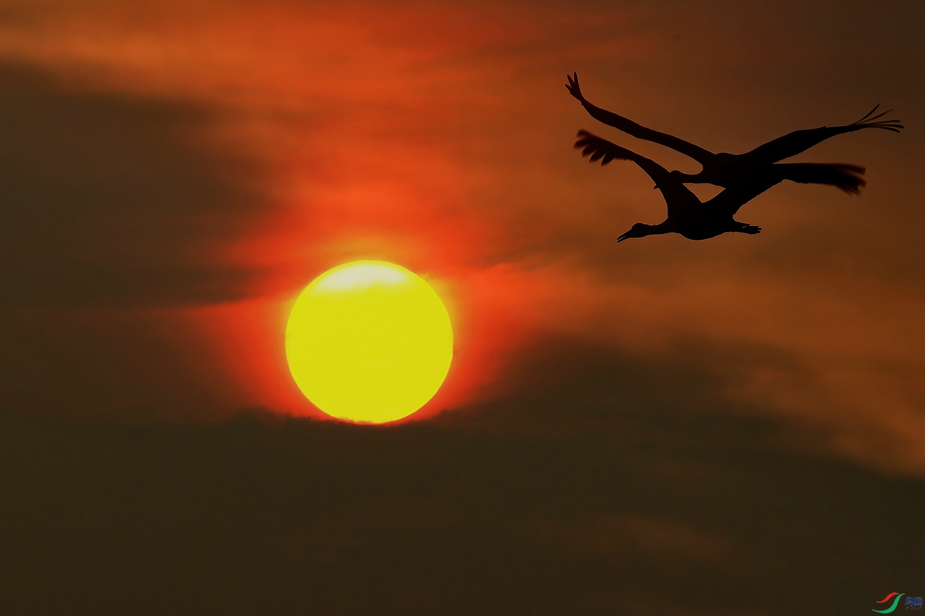 DSC_7835.jpg