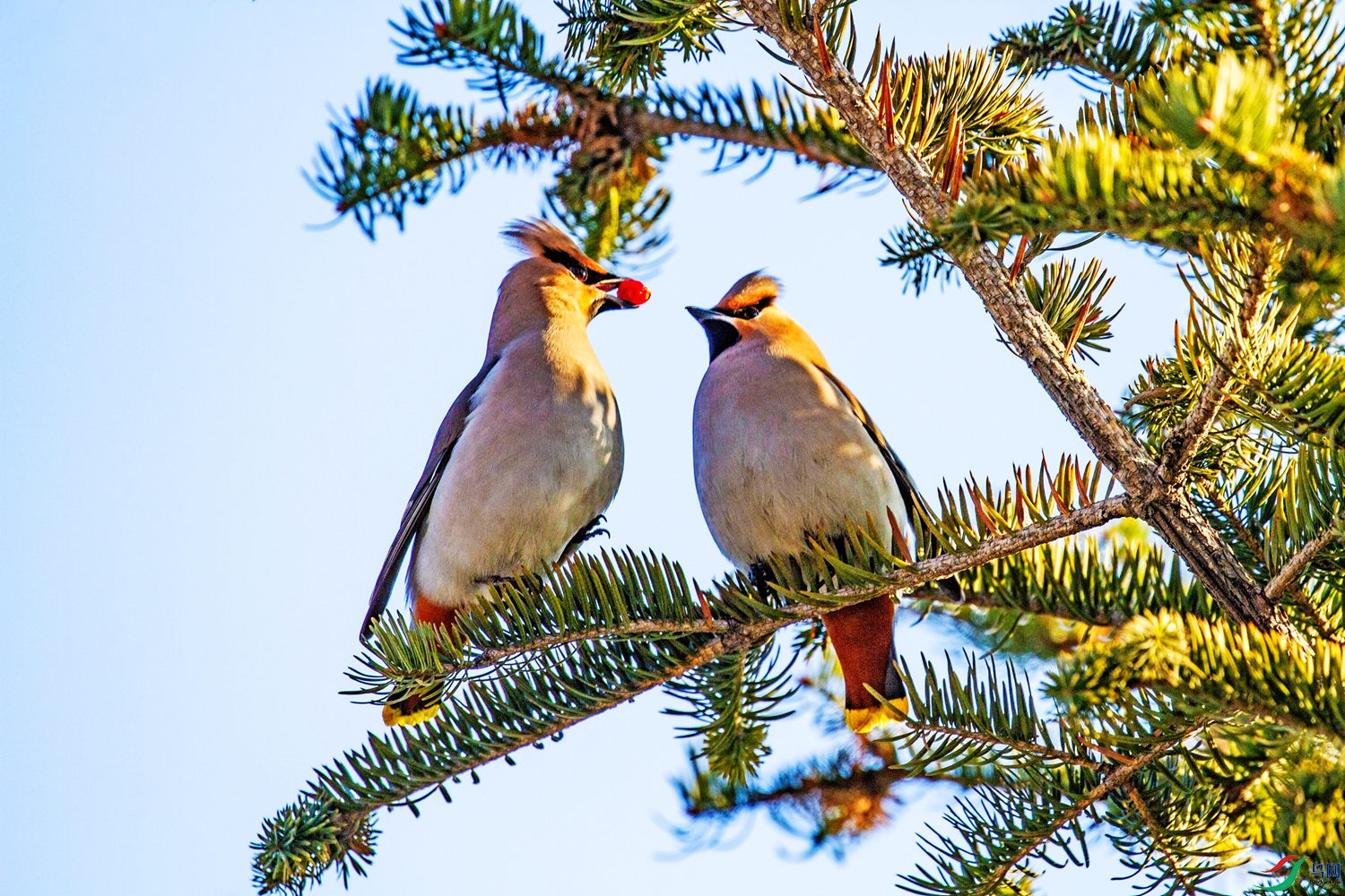 �춹���� (1).jpg