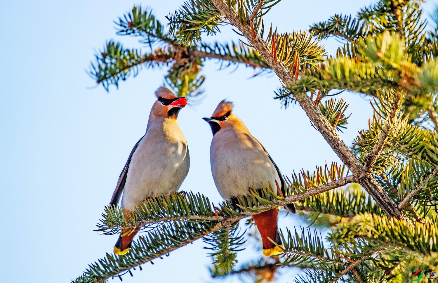 �춹���� (3).jpg