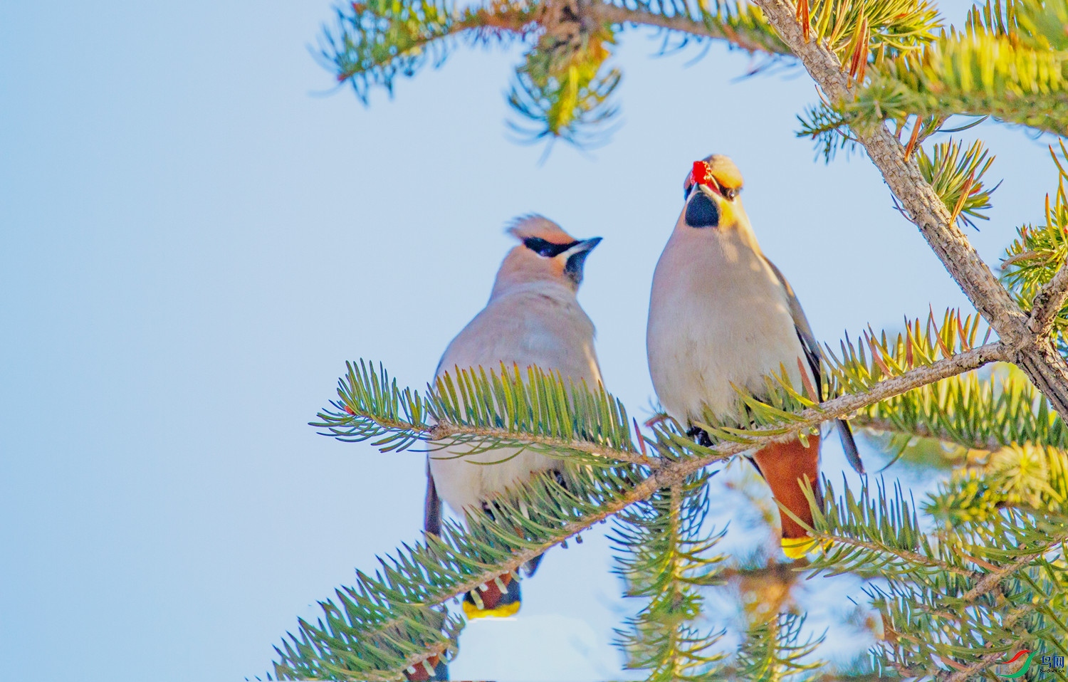 �춹���� (2).jpg