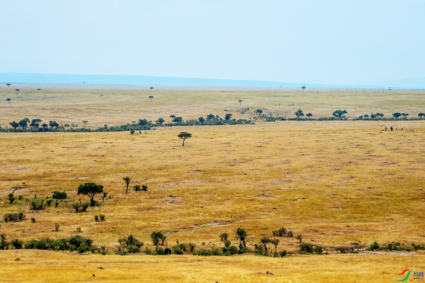 非洲自然风光13