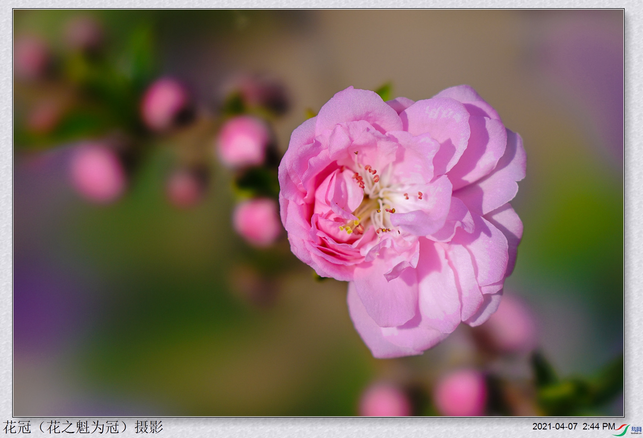 DSC04634B-1_����.jpg