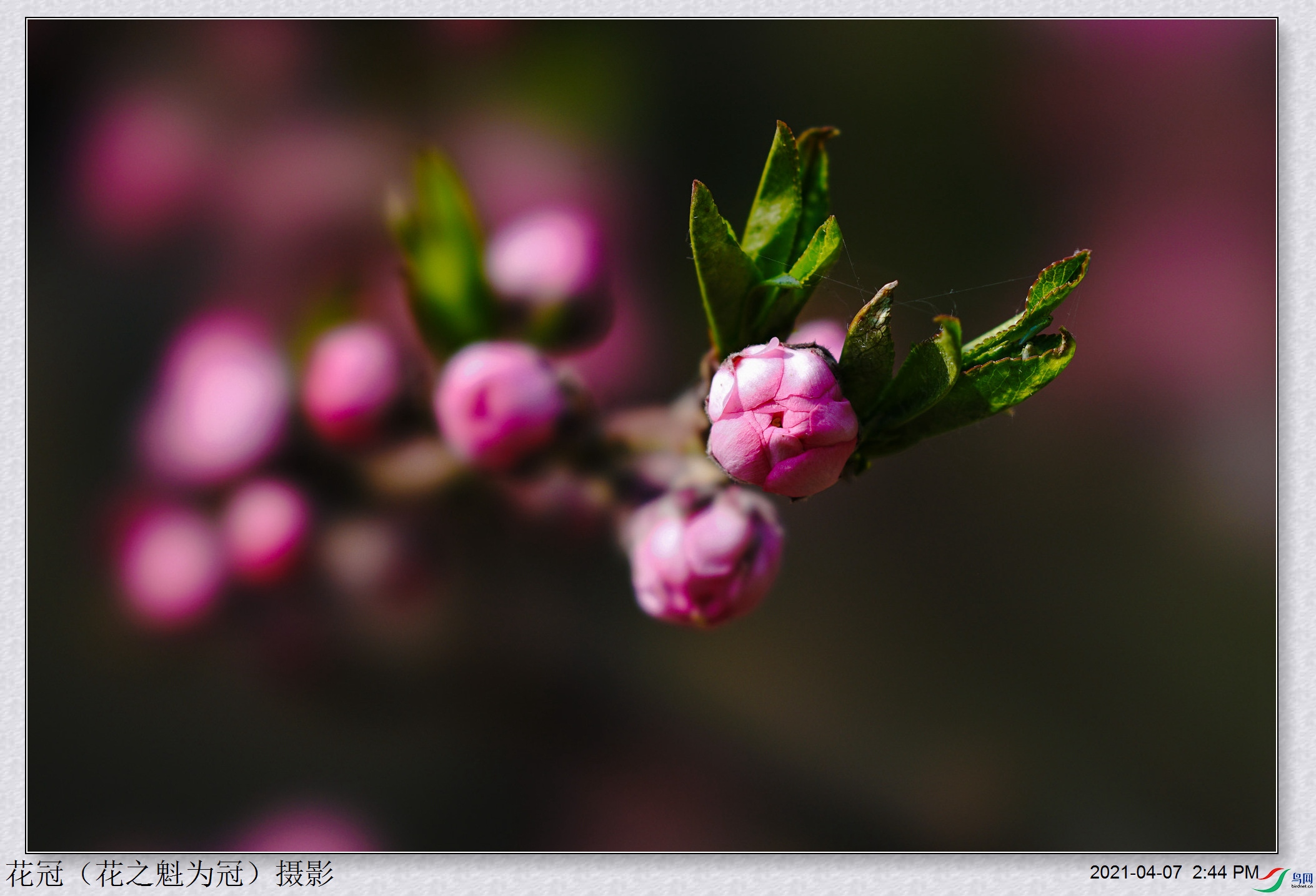 DSC04630B-1_����.jpg