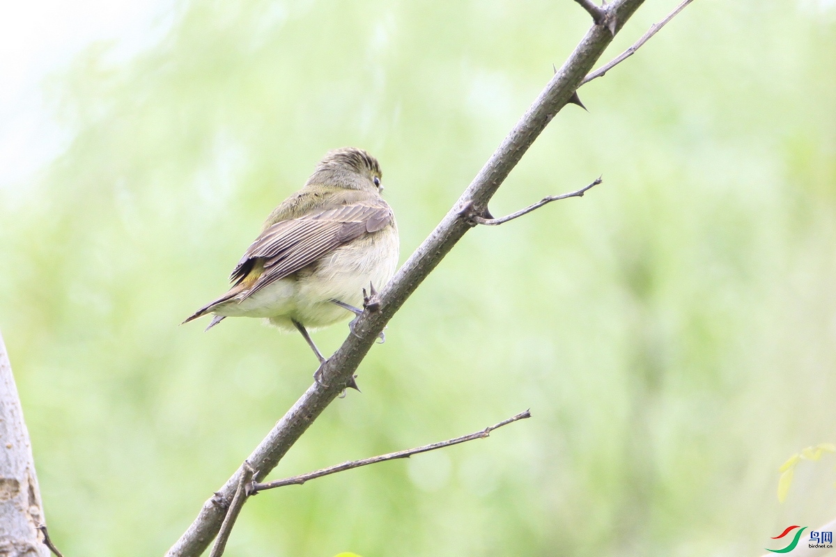 ʲô���l 2 _MG_9828.JPG