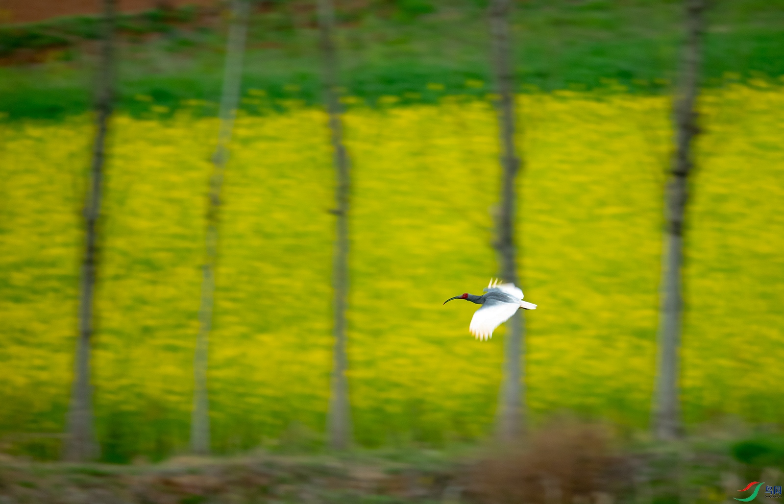 DSC_5836.jpg