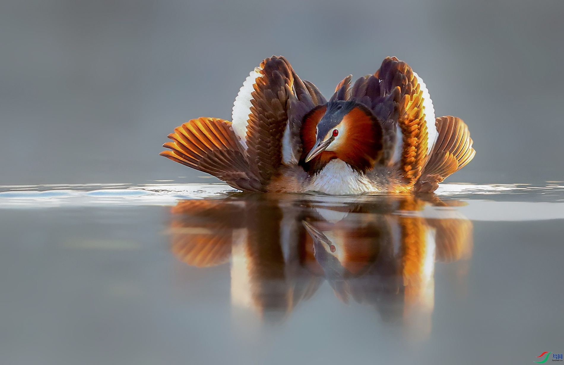 20b.jpg