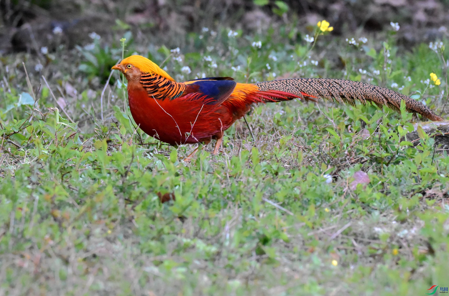 DSC_8737.JPG