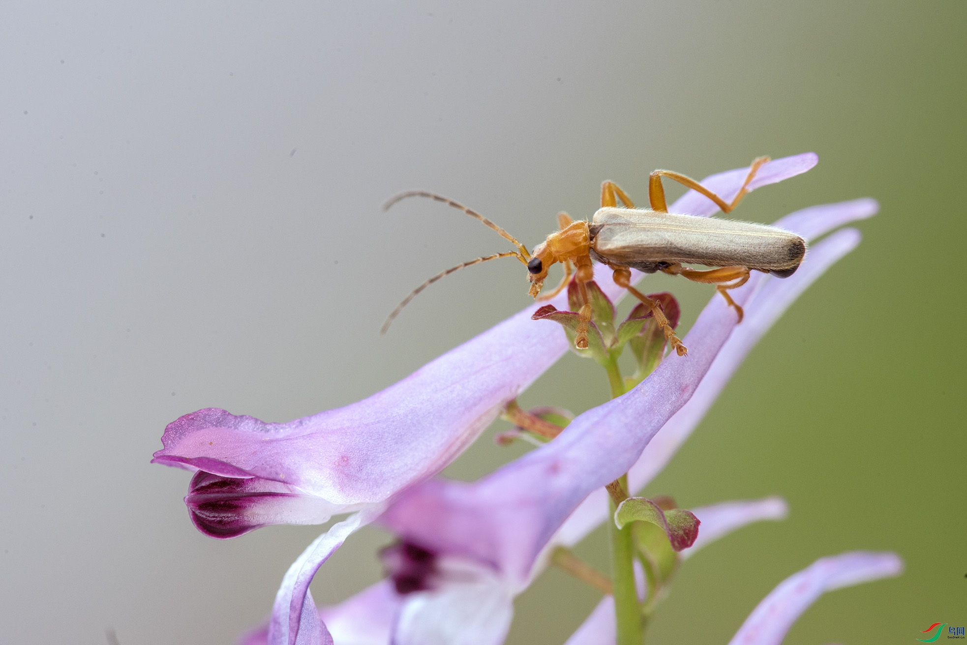 DSC_7436.1.jpg