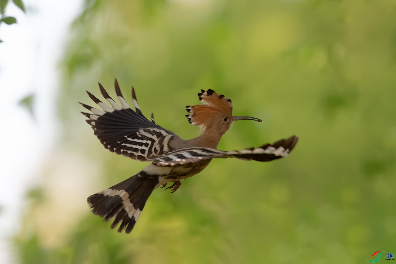 DSC_1447_DxOa.jpg