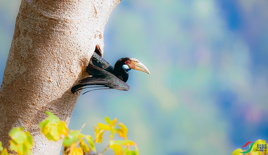 DSC_9818==1x.jpg