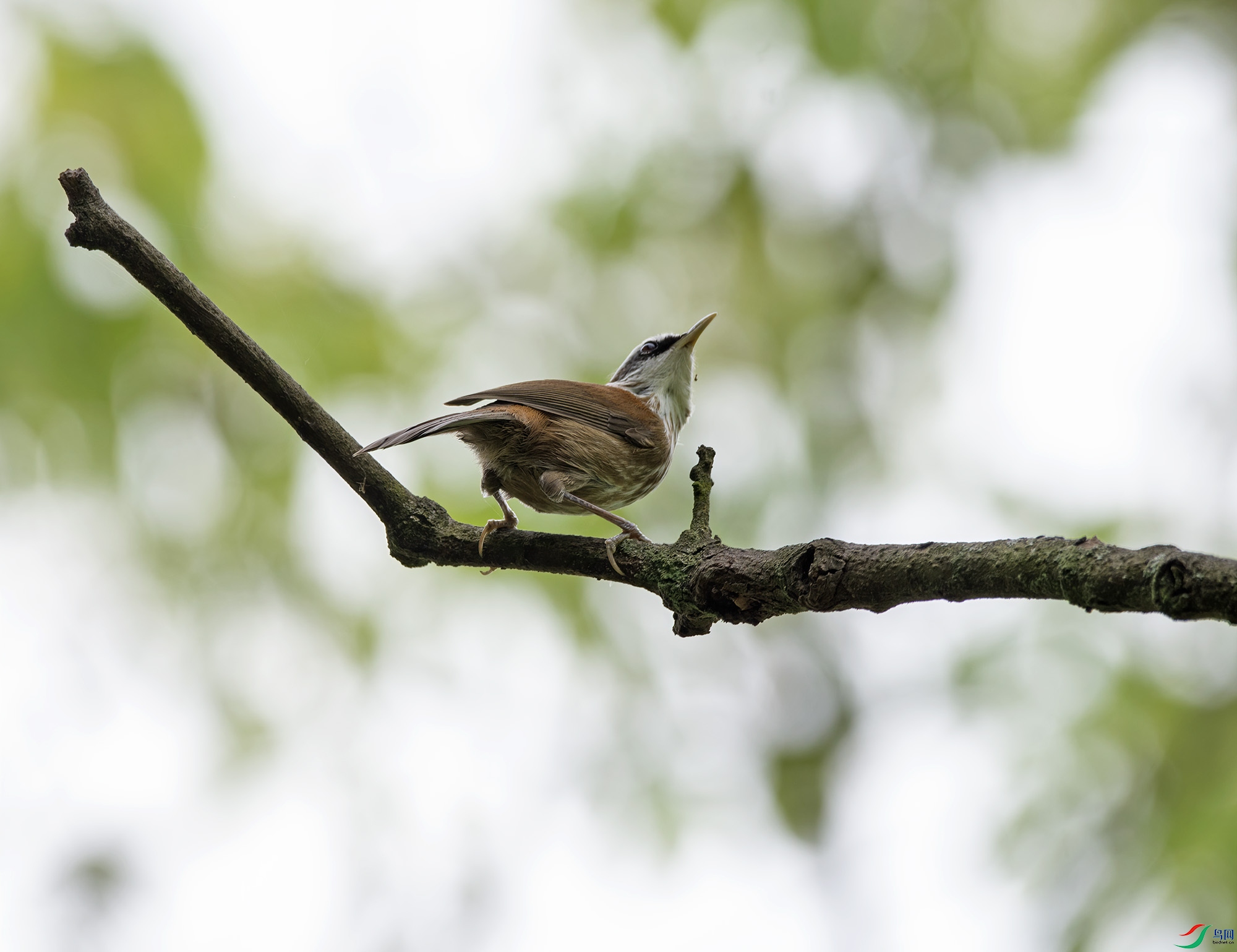 DSC_7788.jpg
