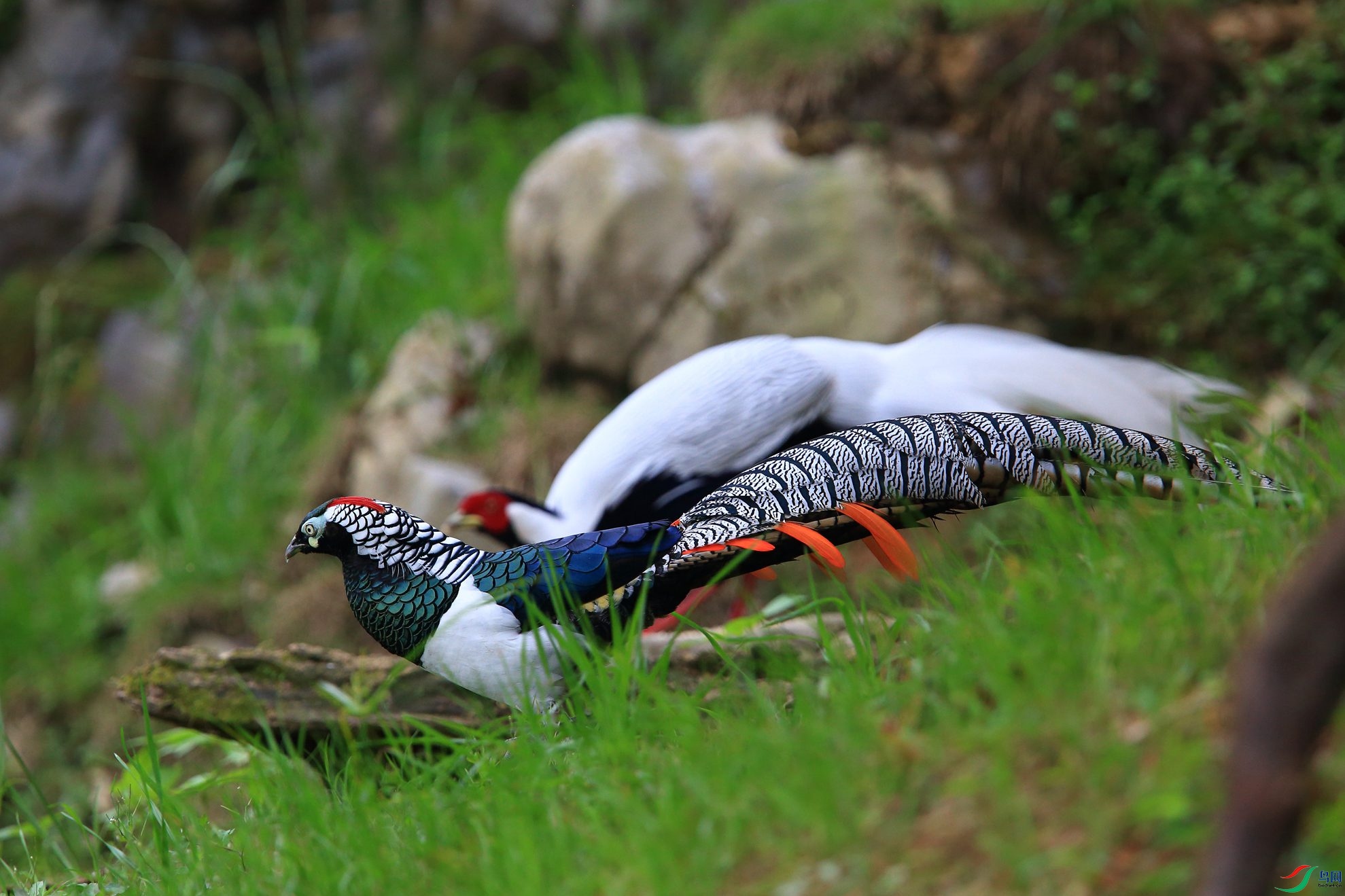 �׸������Ͱ���