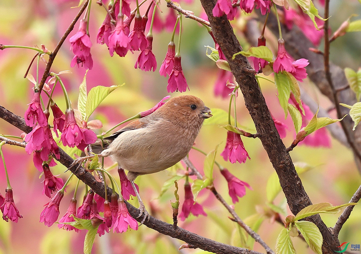 7C8A7688.jpg