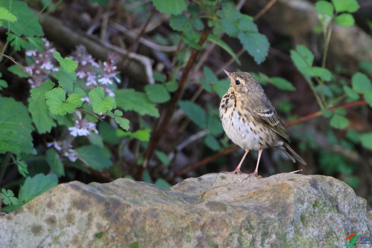 ʲô�w 0F4A7281.jpg