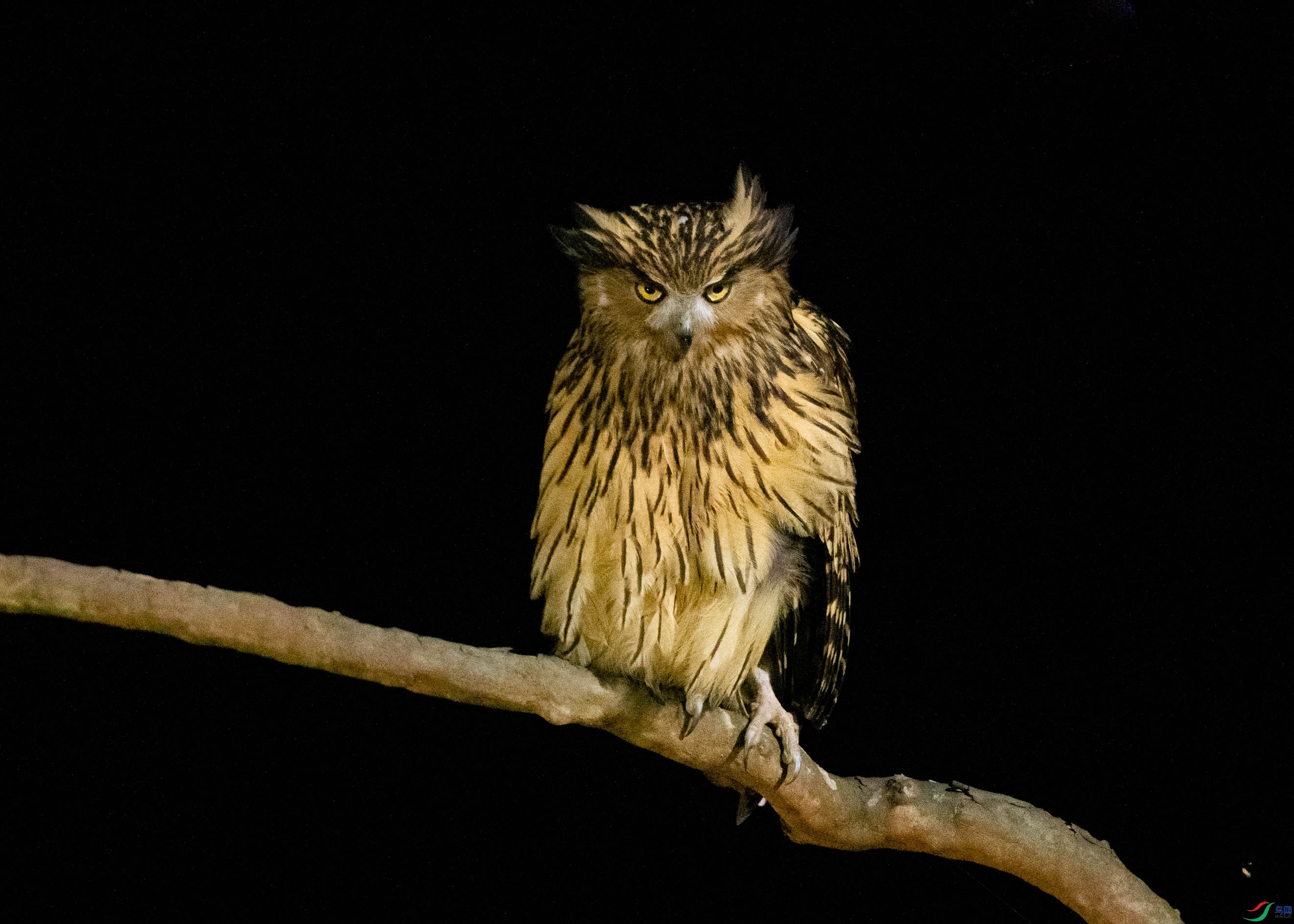 DSC_6451.jpg